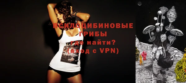 СК Алзамай