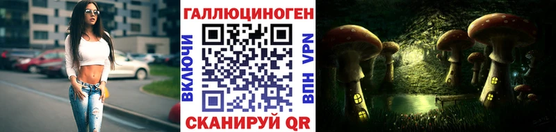 дарк нет телеграм  Бирюч  Псилоцибиновые грибы Psilocybine cubensis 