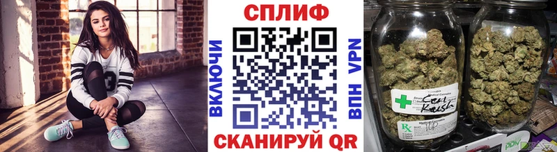 Каннабис ГИДРОПОН  купить закладку  MEGA   Бирюч 